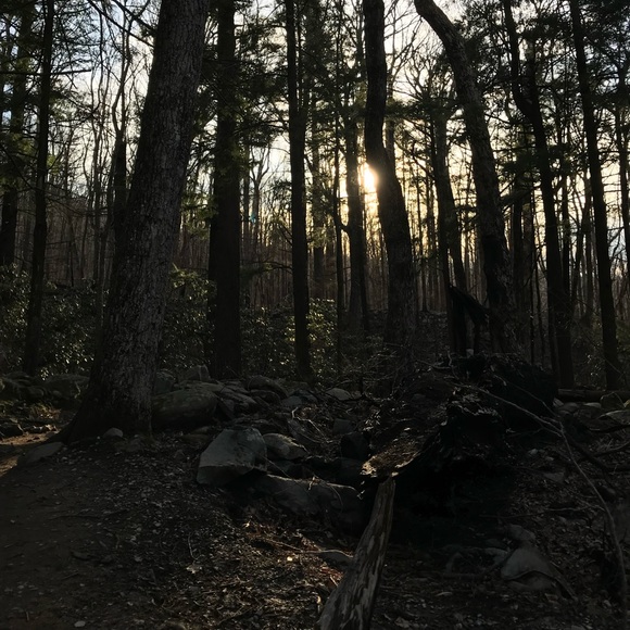 Meet your Posher, Alyssa - Picture 1 of 1